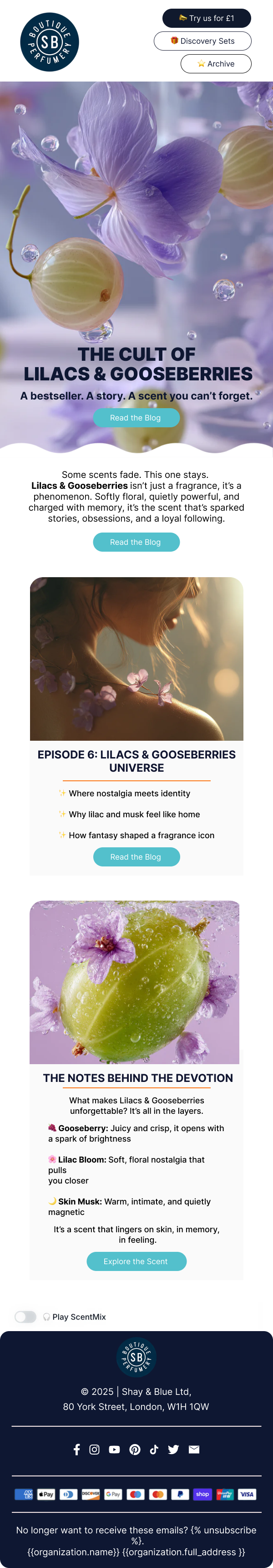 Shay & Blue email design